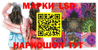 стаф Кунгур