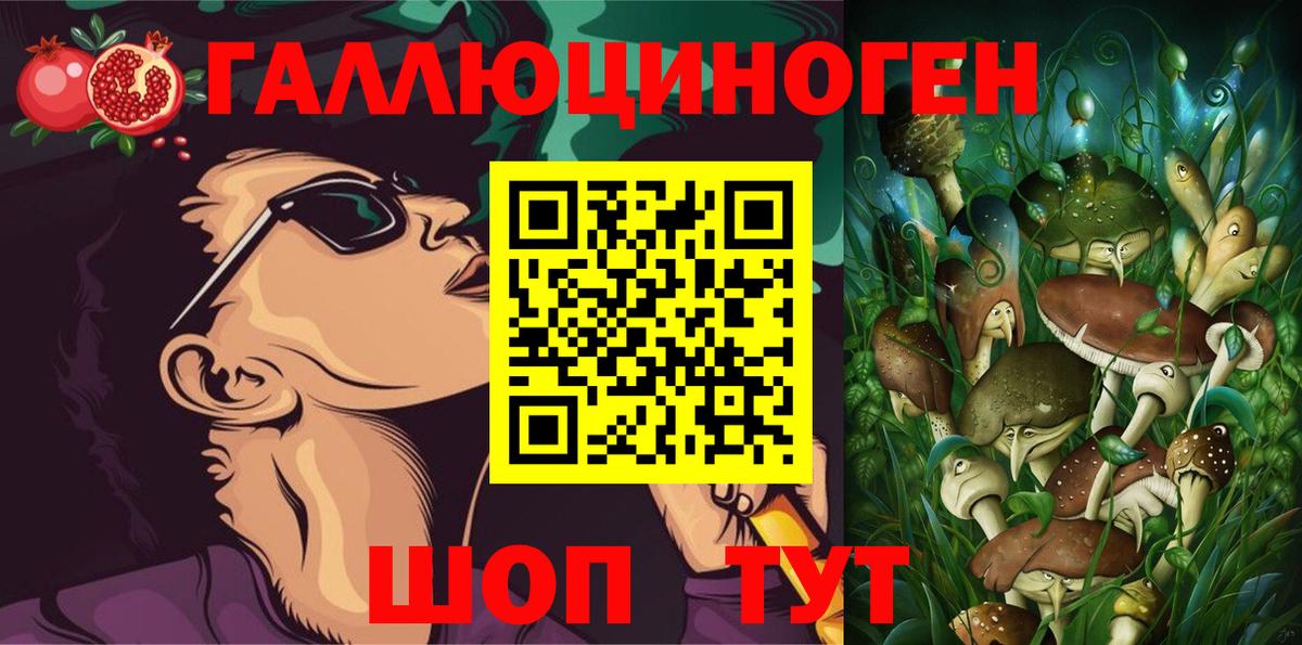 Галлюциногенные грибы GOLDEN TEACHER  Вход с VPN  Дедовск 